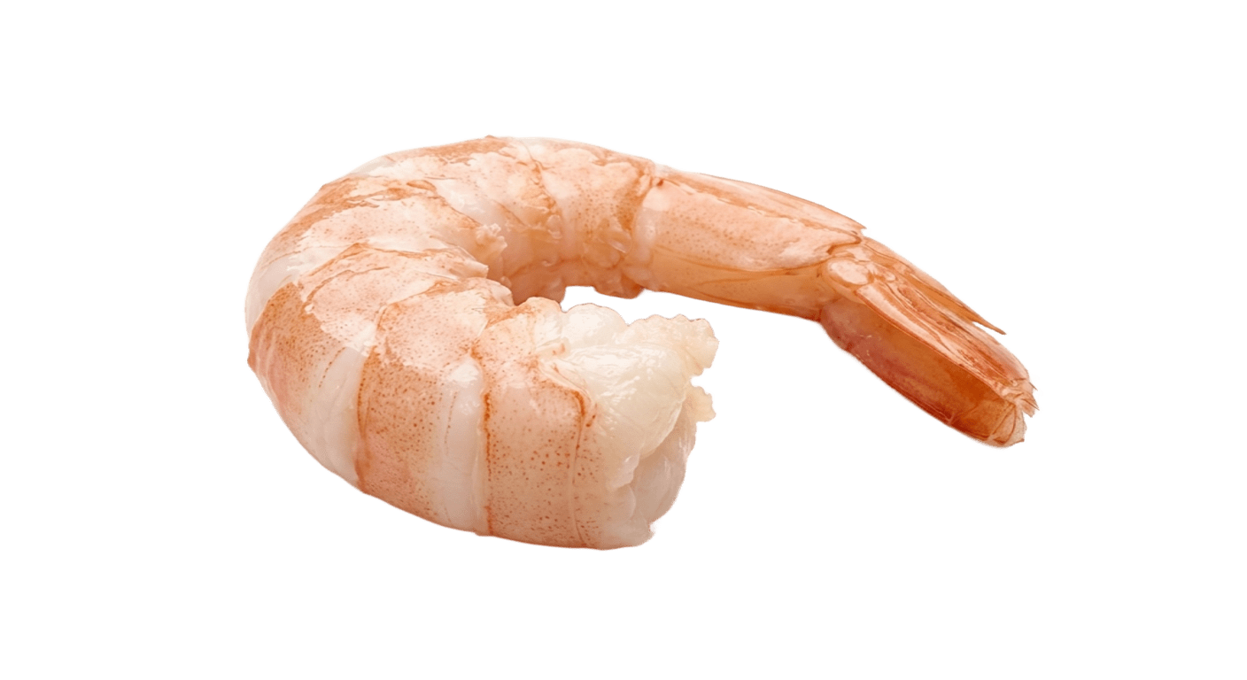 Креветка